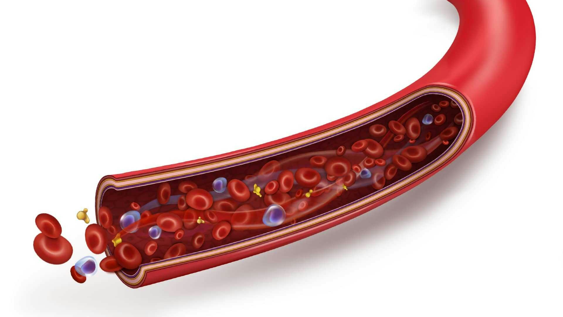 Blood flow 1200x630 COMPRESSED